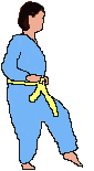 petit_chat.gif (2422 octets)